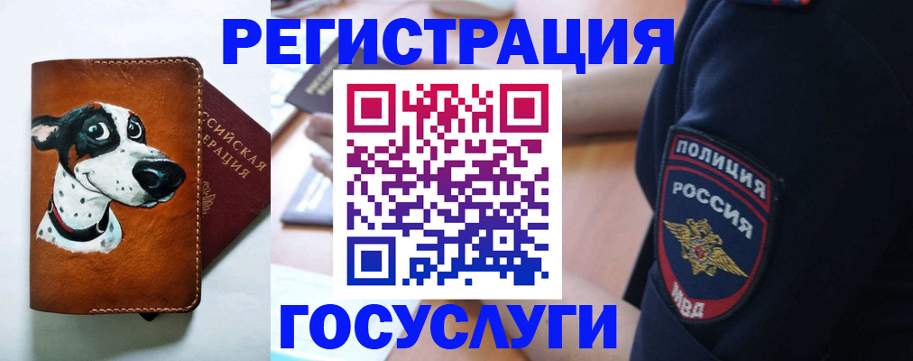 временная регистрация в квартире в Ставрополе
